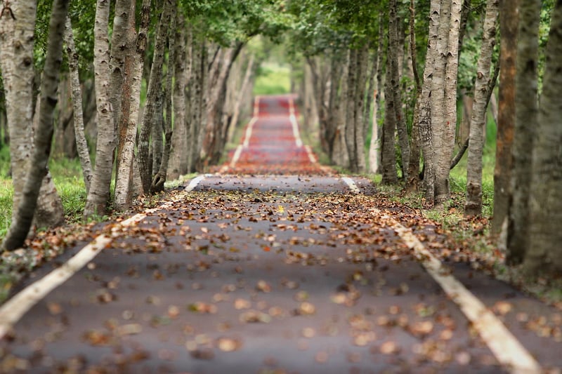Personal Growth